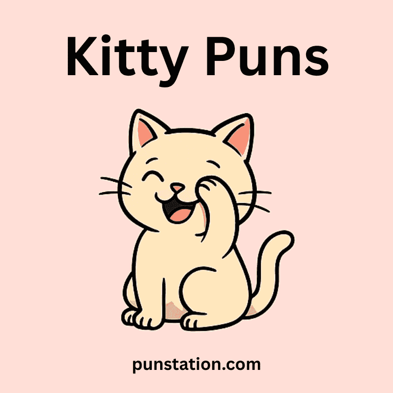 220+ Kitty Puns